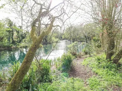 a river in a park with trees and water at Kingfisher Lodge in Langham
