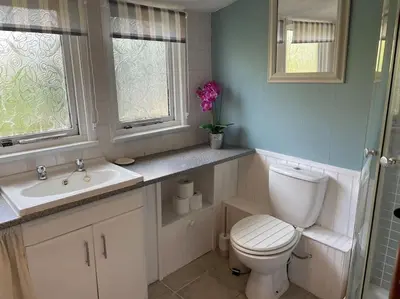 a bathroom with a toilet and a sink and two windows at Ivy Cottage in Salters lode