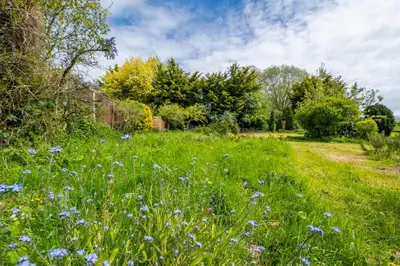 a field with blue flowers in the grass at Willow Barn, Long Melford in Long Melford