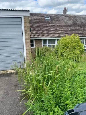 a bush in front of a house with a garage at Boutique bungalow in Haverhill