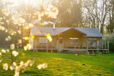a small yellow house in a field of grass at Skylark - Sweffling Hall in Rendham