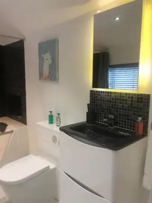 a bathroom with a sink and a toilet and a mirror at The Willows in Great Horkesley
