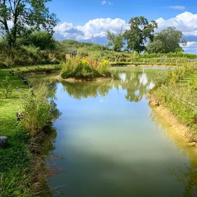 a river in a field with grass and trees at Beautiful 1-Bed Cabin in Newmarket in Newmarket