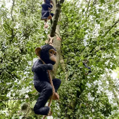 a stuffed monkey sitting on a tree branch at Beautiful 1-Bed Cabin in Newmarket in Newmarket