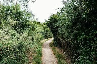 a dirt road in the middle of a field at Sunny Beachside Apt with Free Parking in Southend-on-Sea