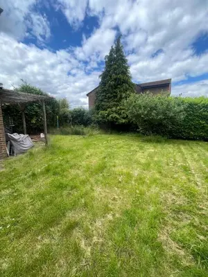 a grassy yard with a tree in front of a house at Spacious House Near Cambridge - Free Parking and Garden in Cambridge
