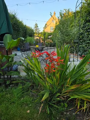 a garden with red flowers in a yard at Straw Bale Cottage in Halesworth