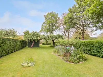 a garden with grass and bushes and trees at The Cottage in Sudbury
