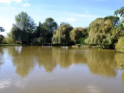 a large pond with trees in the background at Lake House Cottage in Finchingfield