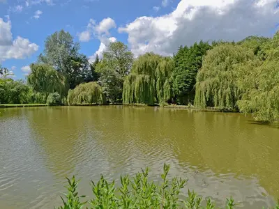 a pond in a park with trees in the background at Lake House Cottage in Finchingfield