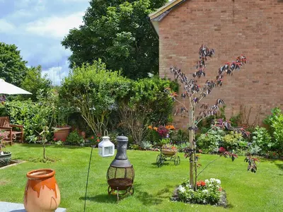 a garden with a lamp and a tree in the yard at Walnut Cottage in Sproughton