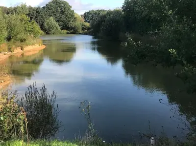 a river with trees on the side of it at Meadow Lodge in Billericay
