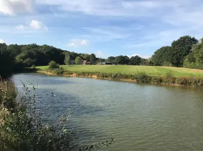 a view of a river with trees and a field at Meadow Lodge in Billericay