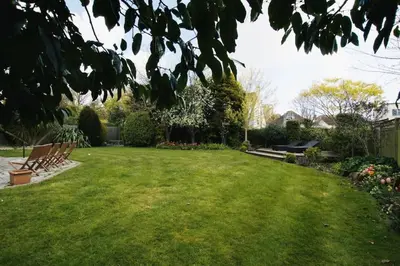 a yard with benches and flowers in a backyard at Exquisite location close to the sea! in Frinton-on-Sea