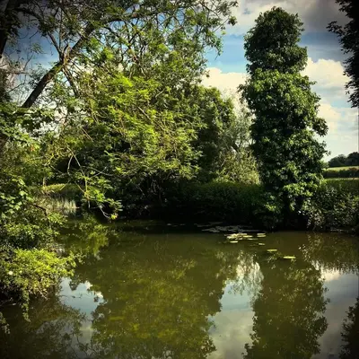 a view of a river with trees and bushes at Lavender Cottage, Clare in Clare
