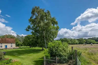 a house in a field with a tree at Rural perfection in Constable Country - Beachams Cottage in Colchester