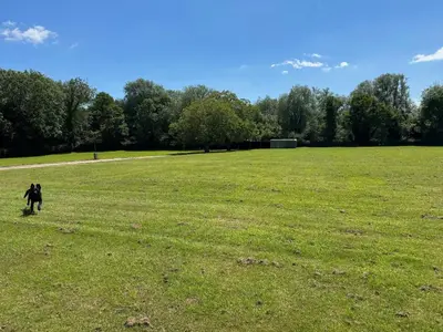 a dog walking in a field of grass at The Farmhouse in Clacton-on-Sea
