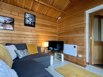 a living room with a couch and a television at Duchess Lodge In Colchester 1BR,Couples, Contractors,Business Travellers, Free WIFI, Secure Parking in Colchester