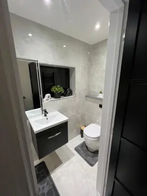 a bathroom with a toilet and a sink and a mirror at Stylish Flat in London in Harold Wood