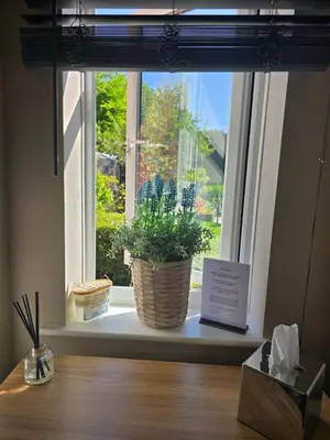 a potted plant sitting on a window sill at Munnings Lodge Apartment in Mendham