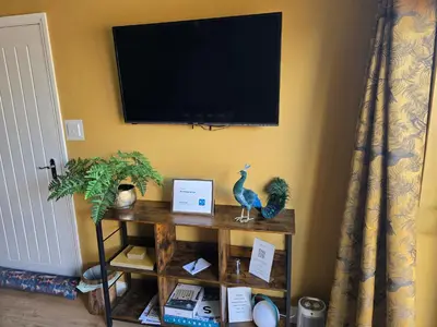 a tv on a wall with a dinosaur on a shelf at Munnings Lodge Apartment in Mendham