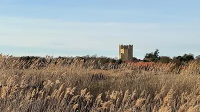 a field of tall grass with a castle in the background at Cosy 2 bed cottage in beautiful Orford in Orford