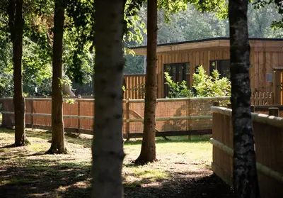 a cabin in the woods with a fence and trees at Luxury Chestnut Lodge with Hot Tub and Games Room in Toppesfield