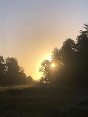 a sun setting behind trees in a field at Nightingale Lodge - Adults Only in Lackford
