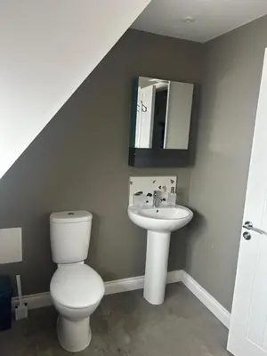 a bathroom with a toilet and a sink at Trowel and Hammer Flat 1 in Cotton