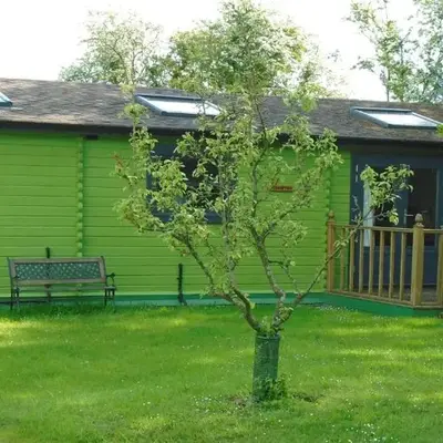 Orchard View