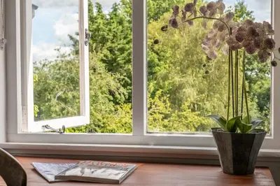 a vase with a plant on a table in front of a window at Brimming with Medieval charm - Weavers Cottage in Lavenham