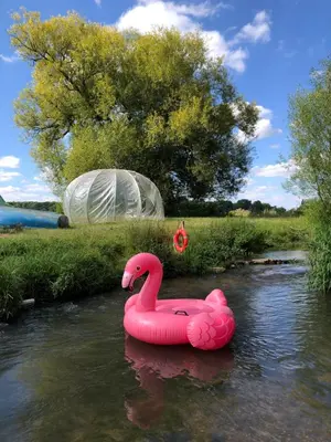 a pink swan float in a river with a tent at HERTFORD Farm yurt Tent Camping fire pit bbq pet friendly in Hertford