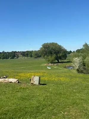 a field of green grass with a rock and flowers at Goldings Farm yurt Tent firepit bbq activities in Bramfield