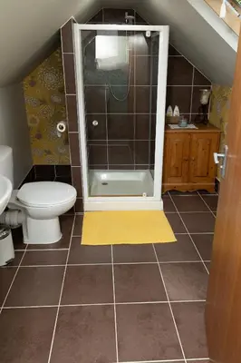 a bathroom with a shower with a toilet and a sink at The Retreat- amazing scenic views of the Essex countryside! in Salcott