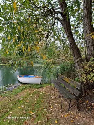 a bench sitting under a tree next to a boat at The Duck - Free Fishing, pets welcome - static caravan in Clare, Suffolk in Sudbury