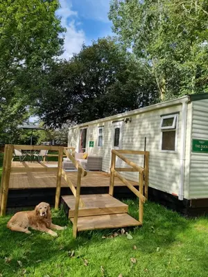 a dog laying in the grass next to a trailer at The Duck - Free Fishing, pets welcome - static caravan in Clare, Suffolk in Sudbury