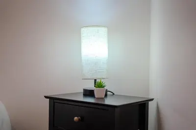 a lamp on a dresser with a potted plant on it at Royal Oak Apartments 9 - Free Secure Parking - 2 Bedrooms - Perfect for Contractors in Brentwood