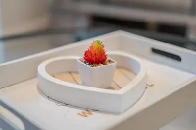 a small plant in a white bowl on a table at Royal Oak Apartments 9 - Free Secure Parking - 2 Bedrooms - Perfect for Contractors in Brentwood