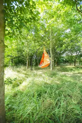 an orange kite sitting in the grass near trees at Little Lodge Glamping in Halesworth