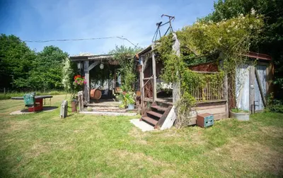 a shed covered in ivy with a table and a bench at Little Lodge Glamping in Halesworth