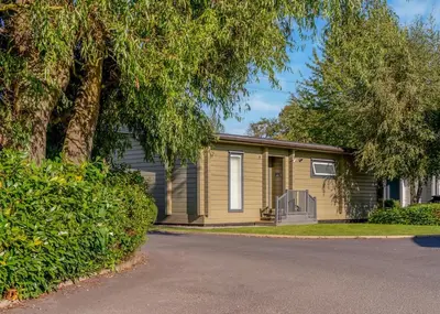 a yellow house with a tree and a driveway at Roydon Marina Village in Roydon