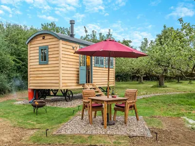 a picnic table with an umbrella in front of a tiny house at Shepherd's Retreat in Ongar