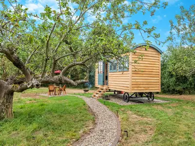 a tiny house in a garden with a tree at Shepherd's Retreat in Ongar
