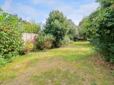 an empty yard with trees and a fence at Brook Cottage in Saxmundham