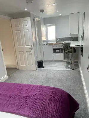 a kitchen with a purple rug in front of a door at Cozy Studio Flat - Romford, London in Havering atte Bower