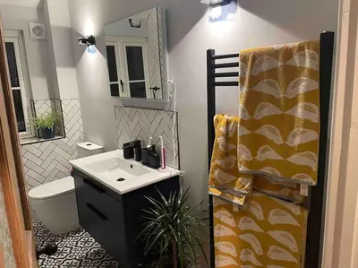 a bathroom with a sink and a toilet and a mirror at Beautiful family home with hot tub in Wivenhoe
