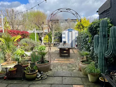 a garden with a bunch of cactuses and plants at Beautiful Victorian House in Central Chelmsford in Chelmsford