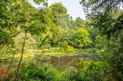 a pond in the middle of a forest with trees at Rural bolthole in Constable country estate - The Woodshed in Higham