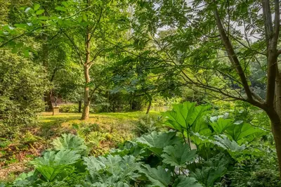 a garden with plants and trees in a park at Rural bolthole in Constable country estate - The Woodshed in Higham
