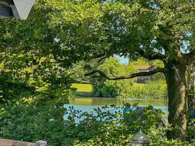 a view of a lake through the trees at Platinum lakeside Lodge on resort with fishing in Kelsale